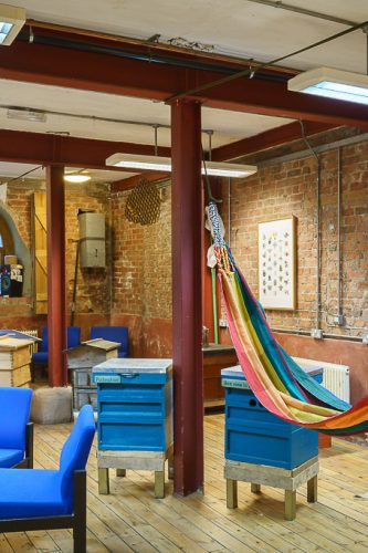 Exhibition & Hammock
