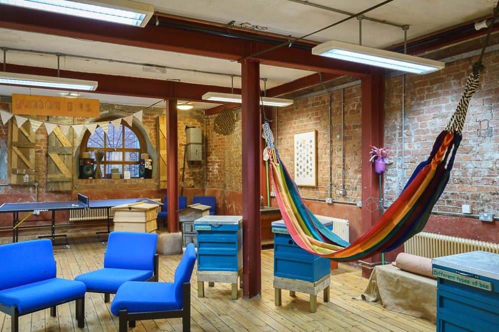 Exhibition & Hammock