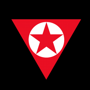 red triangle red star black bg